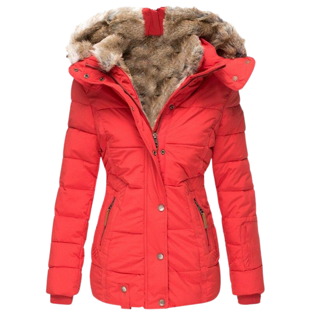 Women's Faux Fur Lined Winter Coat – Stand Collar Button Front Jacket