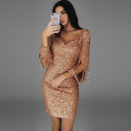 Women's Sparkle Fringe Cocktail Dress – Sequin Fitted Party Dress