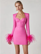 Women's Feather Trim Evening Dress – Long Sleeve Statement Party Dress