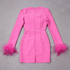 Women's Feather Trim Evening Dress – Long Sleeve Statement Party Dress