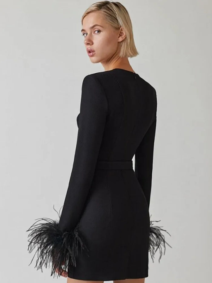 Women's Feather Trim Evening Dress – Long Sleeve Statement Party Dress